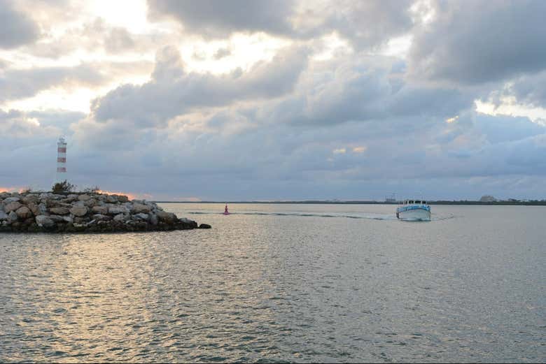 Don't forget your camera!