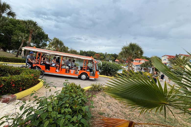 Panoramic in Famous Park