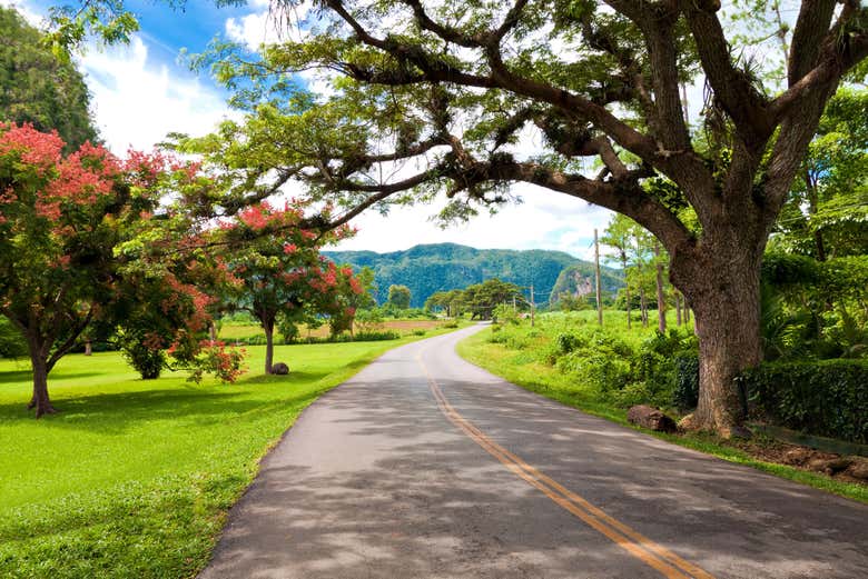 Carretera en dirección al valle de Viñales