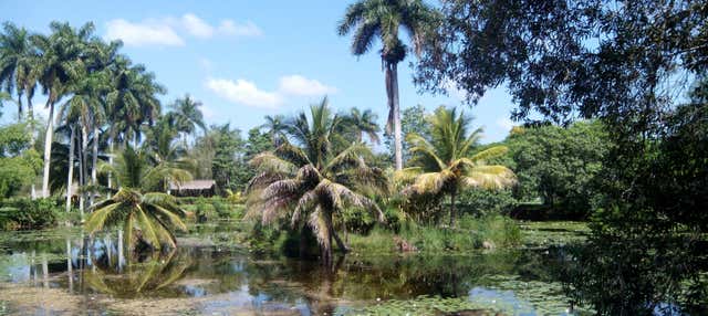 Tour de aventura por el río Hatiguanico y Guamá