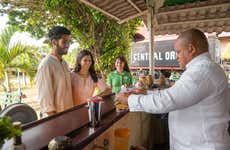 Tour del tabaco, el ron y el azúcar