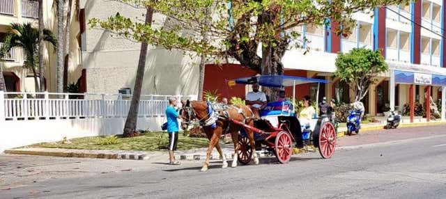 Varadero Guided Tour + Horse-Drawn Carriage Ride
