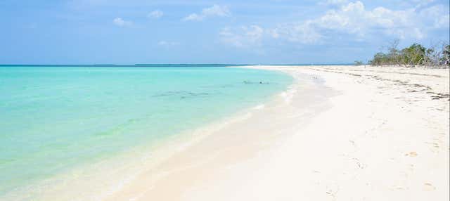 Excursión privada a Cayo Levisa
