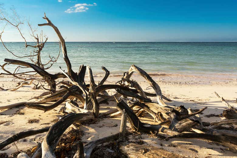 Exploring Cayo Jutías