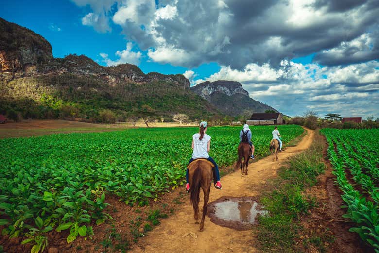 Viñales Valle del Silencio Horse Riding Tour - Civitatis.com