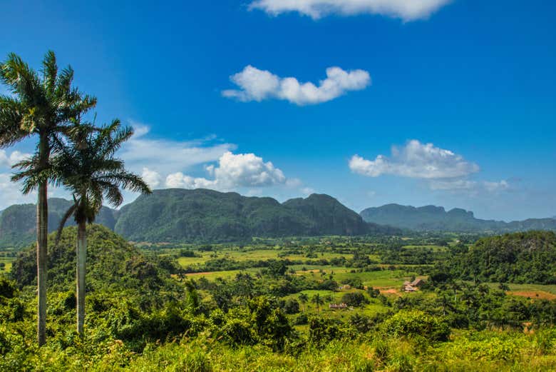 Scenery on the route