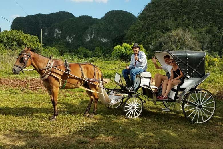 Vinales Valley horse drawn carriage ride
