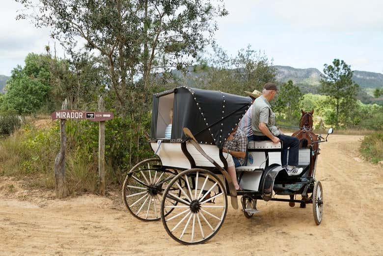 Passing along a dirt road