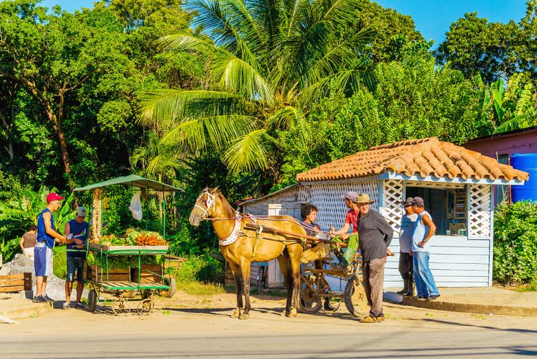 Paseando por Viñales