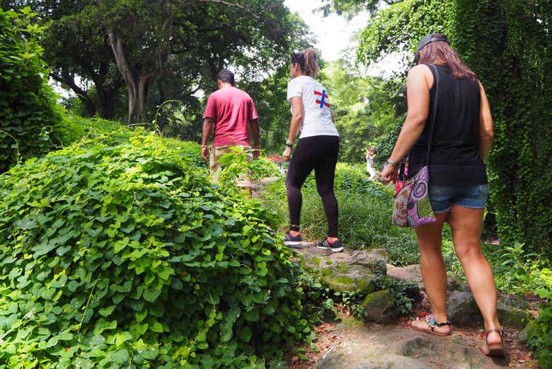 Trail towards the mogote