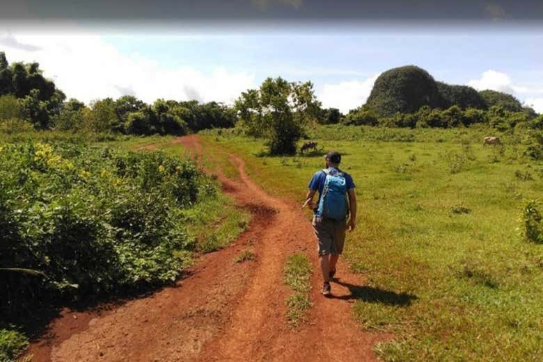 Trekking nella Valle de Viñales 