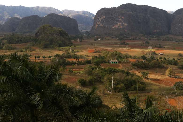 Los Acuaticos Sunrise Hike in Viñales National Park