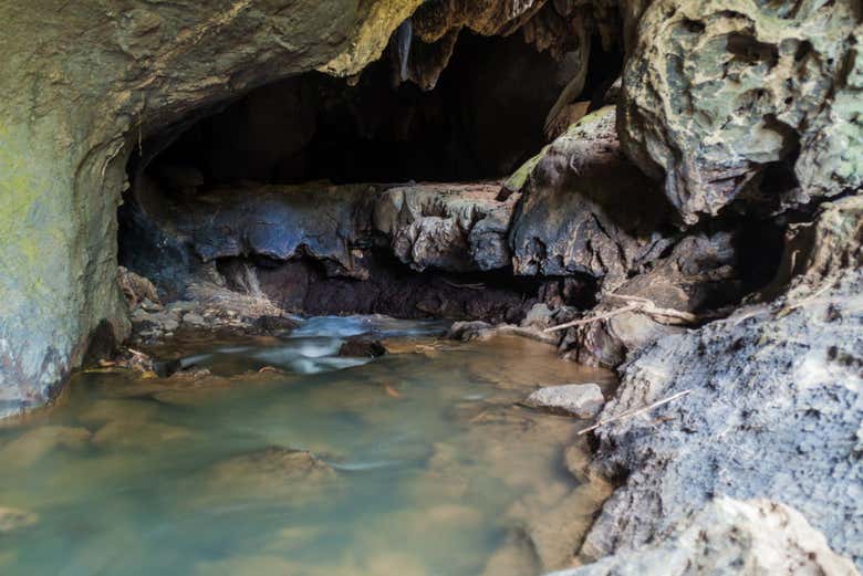 Cave in Palmarito Valley