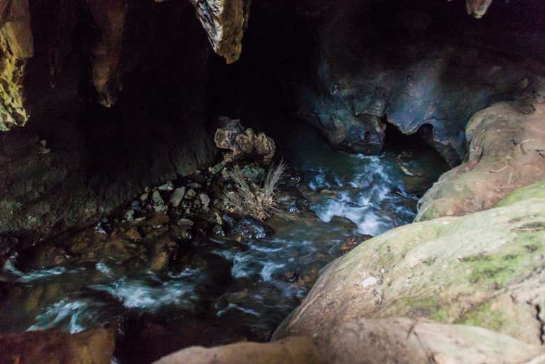 Interior de la Cueva el Palmarito