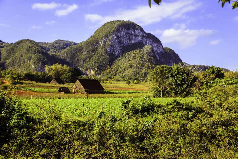 Mogote rock formations in Viñales