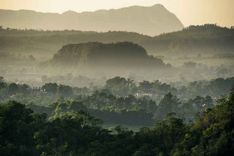The Viñales Valley and its mogotes