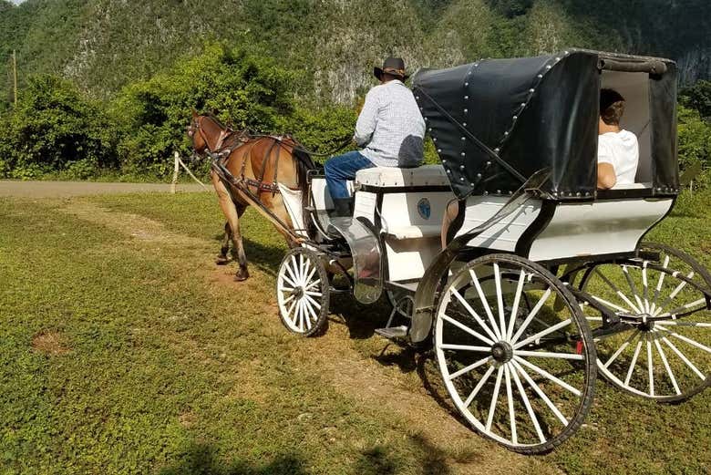 A comfortable way to tour the Viñales Valley