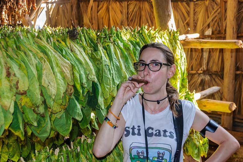 Try an authentic Cuban cigar