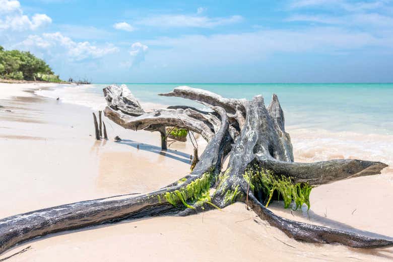 Beautiful Cuban beach