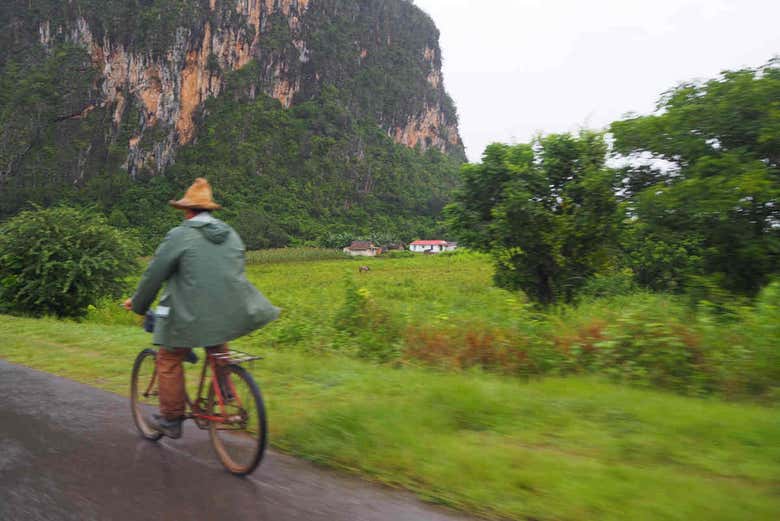 Viñales Valley, Cuba
