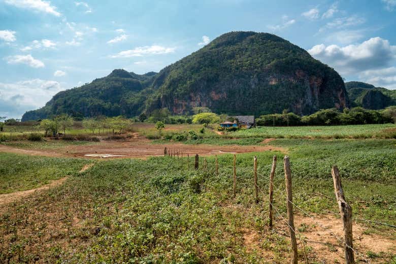 Palmarito Valley