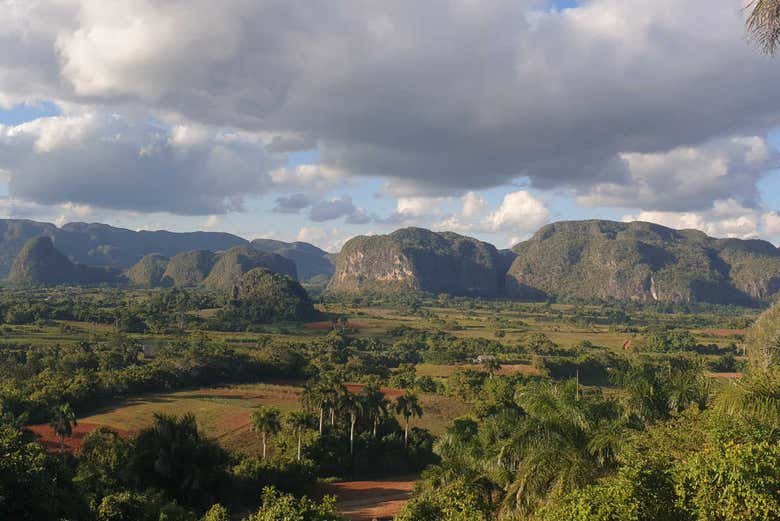 Mirador de los Jazmines