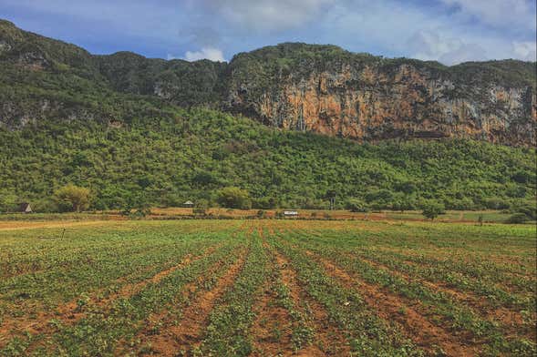 Senderismo por el Valle de Palmarito