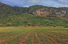 Senderismo por el Valle de Palmarito