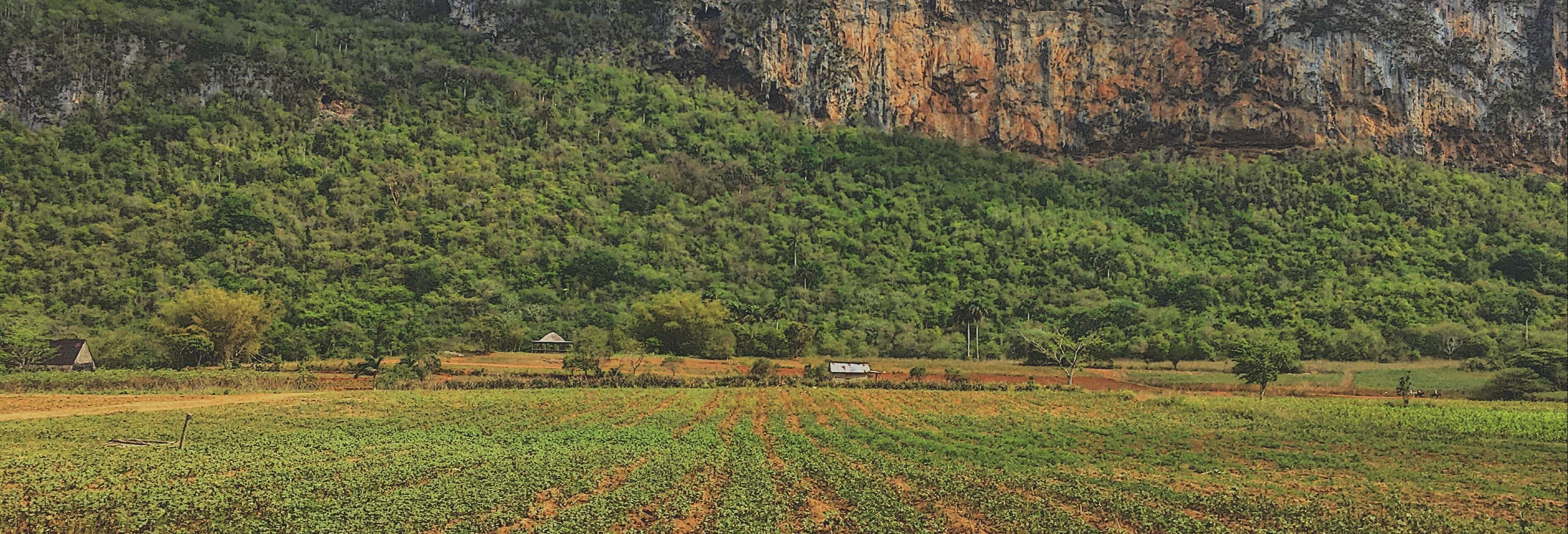 Escursionismo / Trekking a Viñales