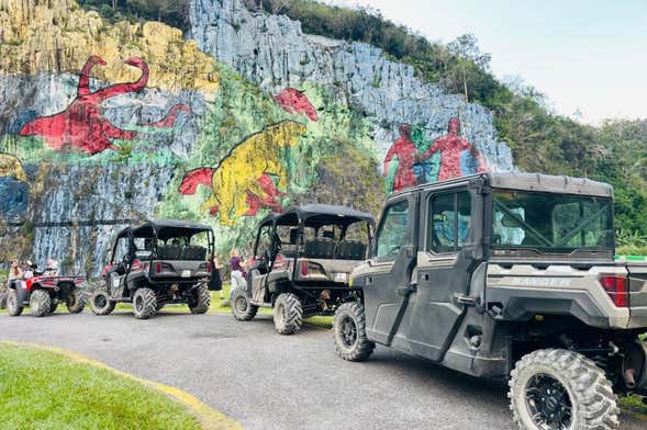 Viñales Valley Buggy Tours