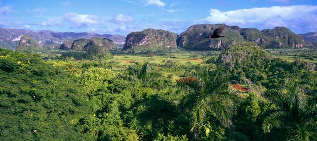 Viñales Horse Riding Tour