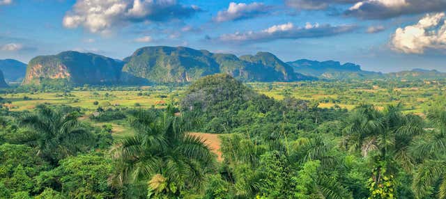 Tour privado en coche clásico por el Valle de Viñales