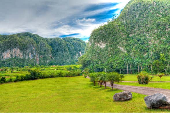 Balade en scooter à Viñales + Tyrolienne à El Fortín
