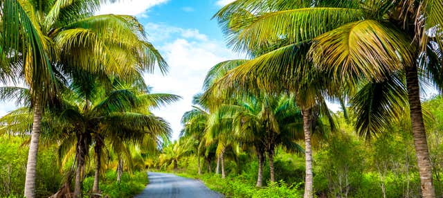 Traslado hasta Cayo Jutías
