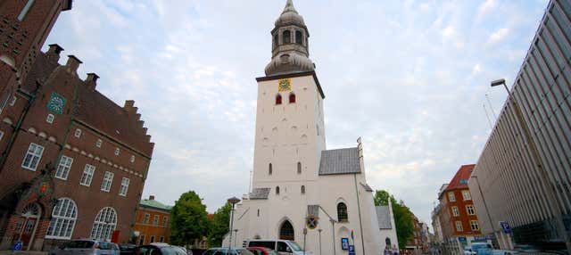 Tour privado por Aalborg