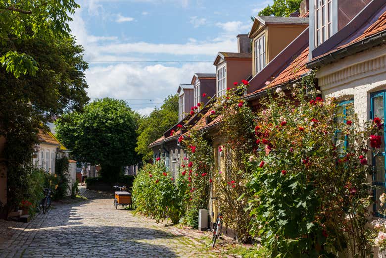 Recorriendo la calle Møllestien