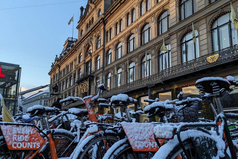 Magasin du Nord, célèbres galleries commerciales