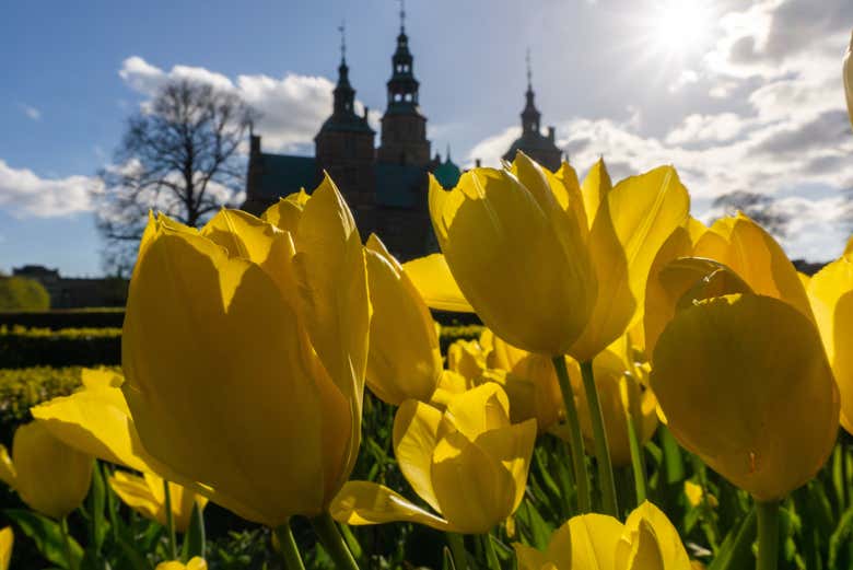 Enjoy a stroll through the King's Gardens
