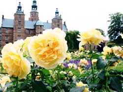 Giardini del Castello di Rosenborg
