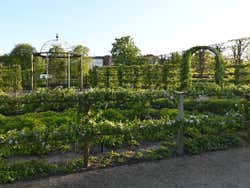 I giardini reali