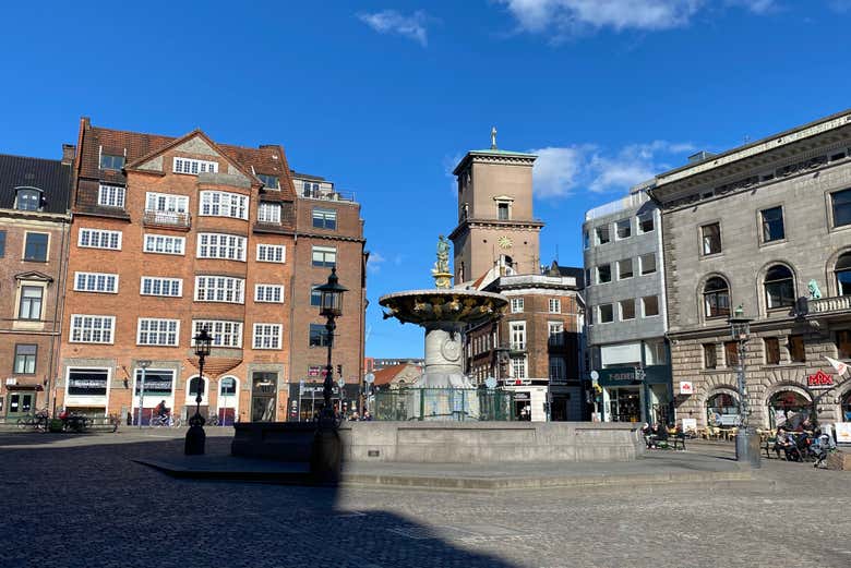 Palazzi di Amalienborg 