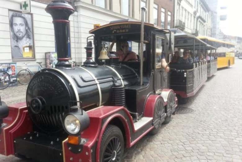 Visite du centre-ville à bord du train touristique