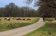 Dyrehaven Park Bike Tour