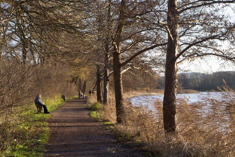Shores of Lake Lyngby