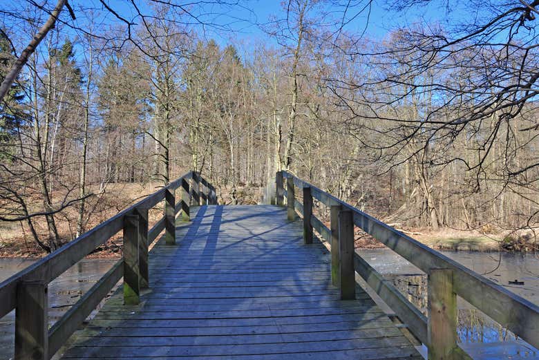 Paysages du lac Bagsvaerd 