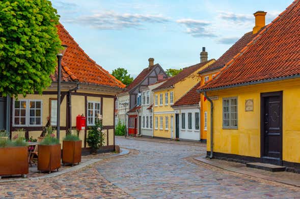 Odense Private Walking Tour