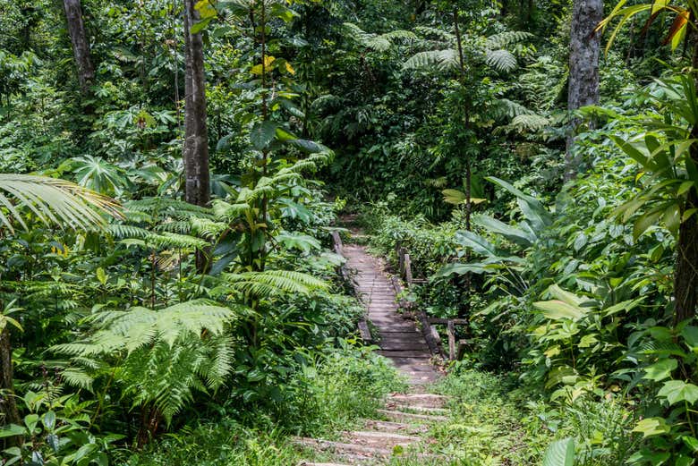 Sentier de la randonnée