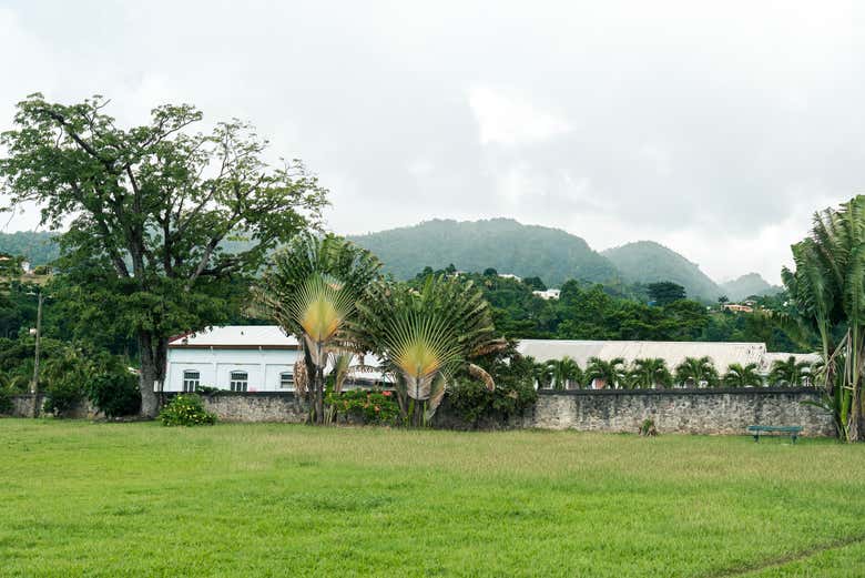 Jardin botanique de la Dominique