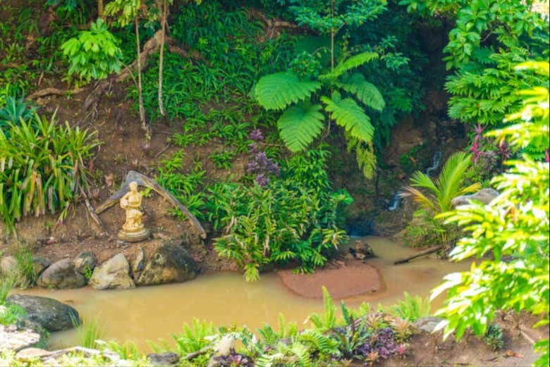 El jardín de Paradise Valley