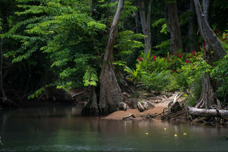 El paisaje de Indian River